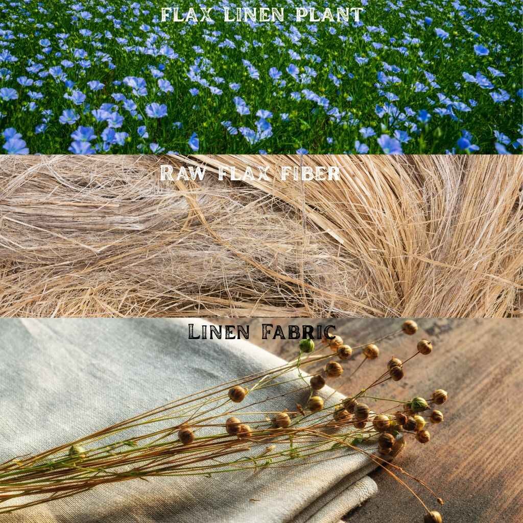Three-stage visual of flax linen production showing flax plant, raw flax fiber, and finished linen fabric.