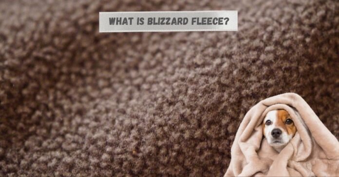 Blizzard fleece