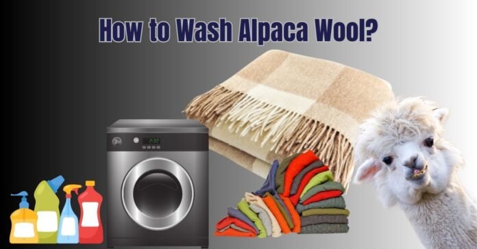 Washing alpaca wool guide with blanket, sweaters, alpaca, and laundry items.