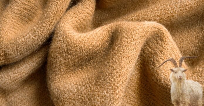 Soft brown cashmere fabric with goat showing what is cashmere wool made from.