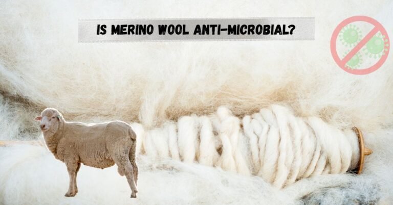 Image showing Merino sheep and wool yarn with bacteria-free symbol, asking “Is Merino wool antimicrobial?”