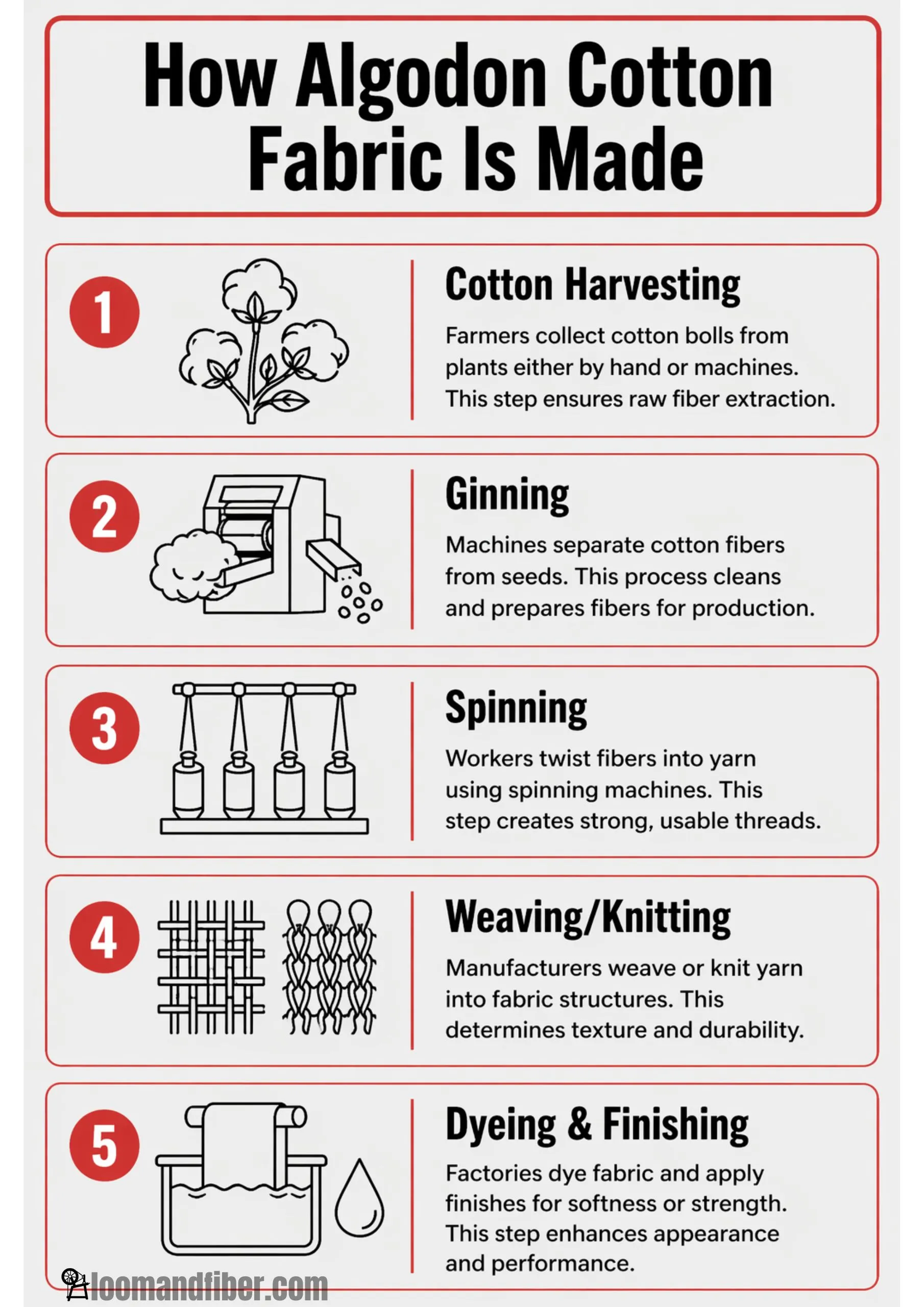 Infographic showing the process of algodón cotton fabric production from harvesting to finishing