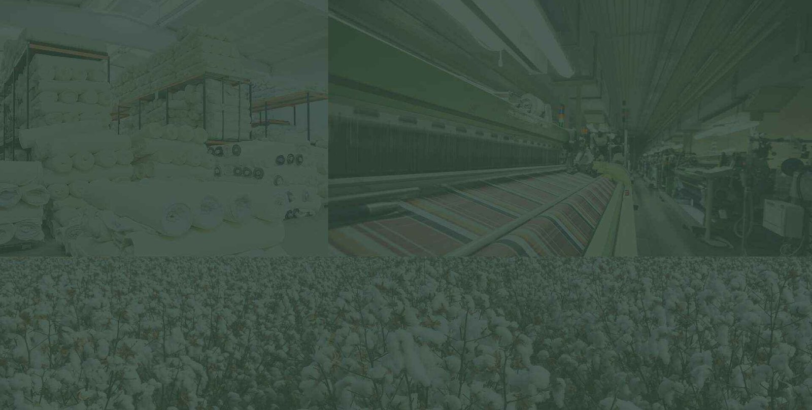 Textile production and cotton industry