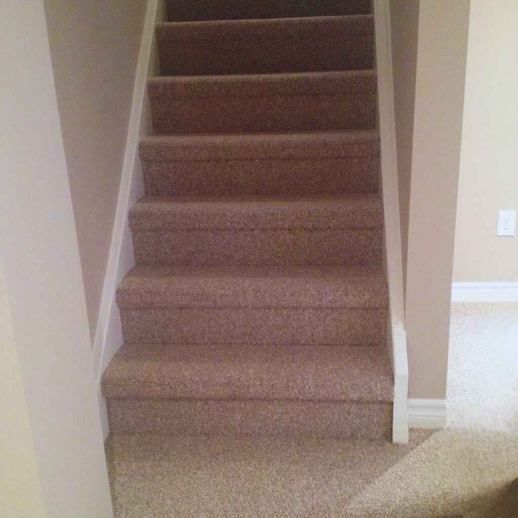 pile cut loop and berber carpet is good for staircases.